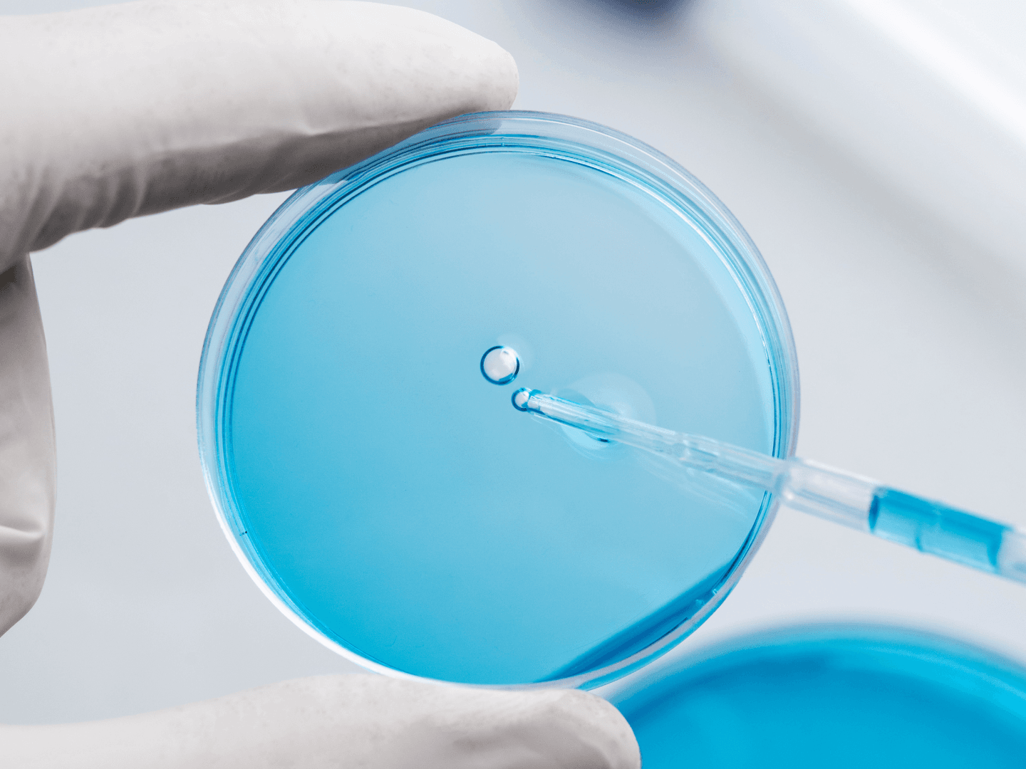 Fetilização in Vitro