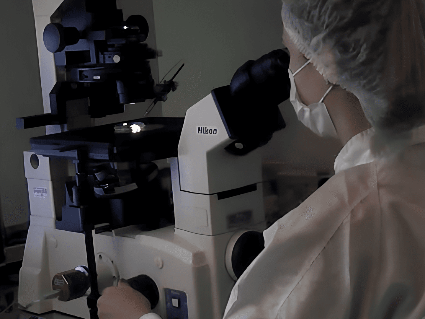 Microscópio de alta ampliação